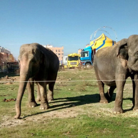/ASOCIACIÓN DE VECINOS LA COLMENA