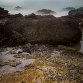 Huella de Megalosauropus broomensis, en primer plano./UNIVERSITY OF QUEENSLAND
