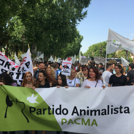 Manifestantes animalistas en Sevilla./ Twitter PACMA