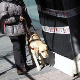 Persona ciega con perro guía /EUROPA PRESS
