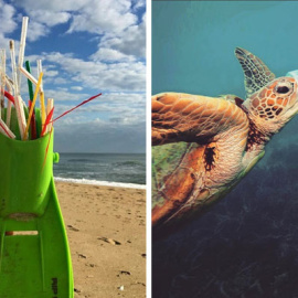 Imagenes en Instagram contra el uso de plásticos