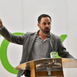 El líder de Vox, en una imagen de archivo. EFE: