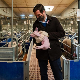  El líder del PP, Pablo Casado, visita una granja en la localidad de Lleida. David Mudarra / PP