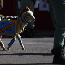  Un carnero, la mascota de la Legión este año en vez de una cabra, acompaña a los efectivos de la fuerza militar durante el desfile del Día de la Fiesta Nacional. /Rodrigo Jiménez (EFE)