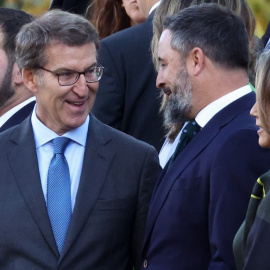 El presidente del PP, Alberto Núñez Feijóo y el líder de Vox, Santiago Abascal, conversan antes del desfile de la Fiesta Nacional de 2022.E.P./Eduardo Parra