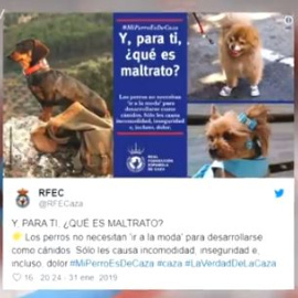 Para los cazadores, cazar con perros no es maltrato; vestirlos, sí