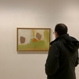 Una muestra recorre los paisajes interiores de Esteban Vicente 