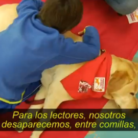 Los perros, no solo son el mejor amigo del hombre... también nos ayudan a aprender a leer