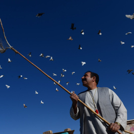 Nasir, un afgano de 45 años, observa el vuelo de sus palomas desde el tejado de su casa en Herat.- Aref Karimi (AFP)