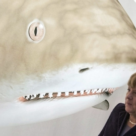 La canciller alemana Angela Merkel durante la inauguración del Fraunhofer Institute en Halle, Alemania. EFE/HENDRIK SCHMIDT