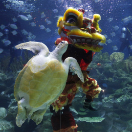 Un buzo realiza una danza bajo el agua para celebrar el Año Nuevo Lunar en un acuario en Kuala Lumpur. REUTERS/Olivia Harris