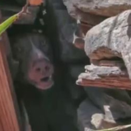 Público al Día - 26 de marzo de 2019