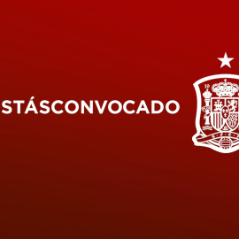 Selección convoca a españoles el día en el que se iba a jugar el España-Alemania