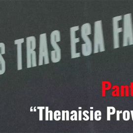 'Thenaisie Provote' de Pantis