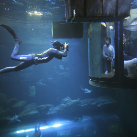 Un buzo toma fotos mientras la gente mira a los tiburones desde una sala bajo el agua instalada en el acuario de París, Francia. REUTERS/Charles Platiau