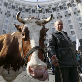 Un hombre lleva una vaca durante una manifestación de agricultores en Kiev, Ucrania. REUTERS/Valentyn Ogirenko