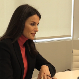 Doña Letizia realiza una videoconferencia con el presidente de FASOCIDE