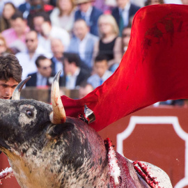 Un toro herido y ensangrentado durante la Feria de Abril de Sevilla. EFE