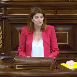 Carolina Telechea (ERC) reprocha en el Congreso que parte del personal de la Cámara siga en ERTE