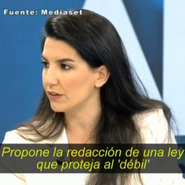 Rocío Monasterio, Vox y su cruzada contra la ley de violencia de género