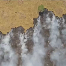 Un planeta nuevo: la pandemia reduce la contaminación