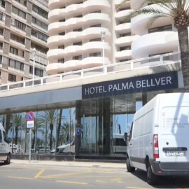 Macrobrote de Mallorca: una cadena de negligencias desde el inicio