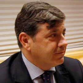 El viceconsejero de Medio Ambiente de la Comunidad de Madrid, Miguel Ángel Ruiz.