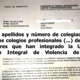 Vox se hace con su lista negra en Andalucía: la lista de médicos, psicólogos y asistentes que trabajan en la lucha contra la violencia de género