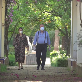 Segundo día de paseos y deporte en Sevilla