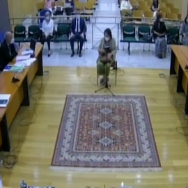 Declaraciones de la pediatra de la niña