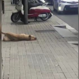 Público al Día - 30 de mayo de 2019