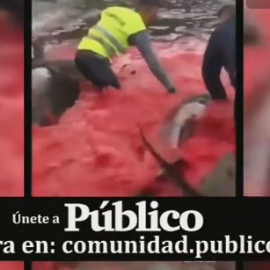 Público al Día - 31 de mayo de 2019