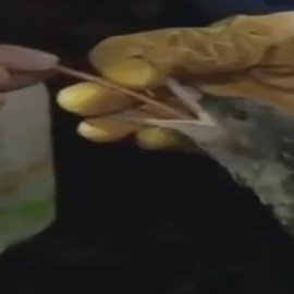 Público al Día - 3 de junio de 2019