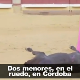 ¿Deberían participar menores de edad en corridas de toros? Animal Guardians lo denuncia