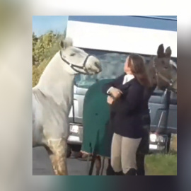 21/12/21. Captura del momento en el que la profesora abofetea al caballo en Reino Unido, a 9 de noviembre de 2021.