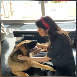 Pilar Rubio muestra cómo cepilla y acaricia a sus perros 