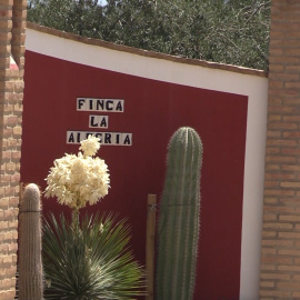 Todo listo en 'La Alegría' para la boda de Sergio Ramos y Pilar Rubio