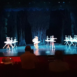 'El Lago De Los Cisnes' llega a los Teatros del Canal
