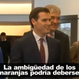 La Europa liberal cuestiona a Rivera por sus pactos con VOX