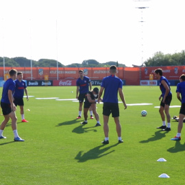La plantilla del Atlético de Madrid se entrena en grupos