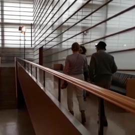 Woody Allen entre una nube de periodistas y cámaras con motivo de su llegada a San Sebastián