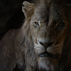 La diversidad reina en la nueva versión de 'El Rey León'