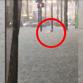 Público al Día - 11 de julio de 2019