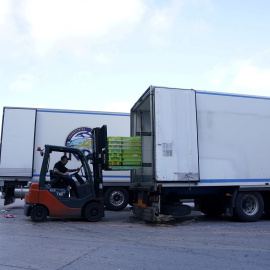 Un trabajador carga un palé con pescado en un camión en el puerto vasco de Ondarroa (Vizcaya). REUTERS/Vincent West