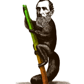  Ilustración de Mikel Jaso