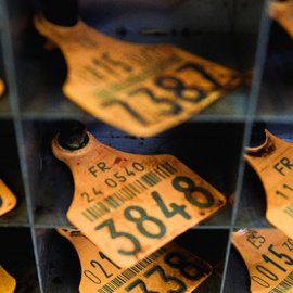 Imagen del proyecto 'Tras los muros' de Aitor Garmendia