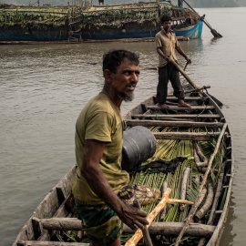 Habitantes de la aldea de Kalabogi, en el Sundarbans de Bangladés, salen a la pesca de cangrejos. Las capturas son cada vez menores debido al aumento de la salinidad de las aguas.- JAIRO VARGAS