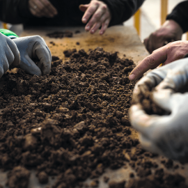  Durante una exhumación no solo se extraen los huesos más grandes, sino que se saca la tierra en cubos y se criba para localizar incluso los fragmentos más pequeños. Esos mismos fragmentos se limpian con cuidado para no deteriorarlos más y 