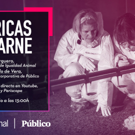 'Fábricas de Carne': charla entre Ana Pardo de Vera y Silvia Barquero sobre la crueldad de la industria de la carne de pollo en España