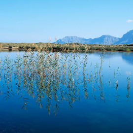  Muro, Sa Pobla (Mallorca). Fuente: AETIB - Govern de les Illes Balears / Autor: Climent Picornell